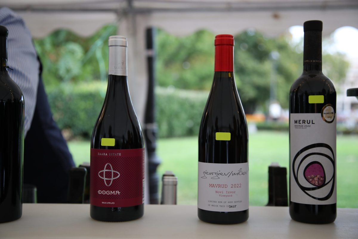 MyRo.Biz IMGL3600 scaled e1765901527241 MyRo.Biz IMGL3600 scaled e1765901527241