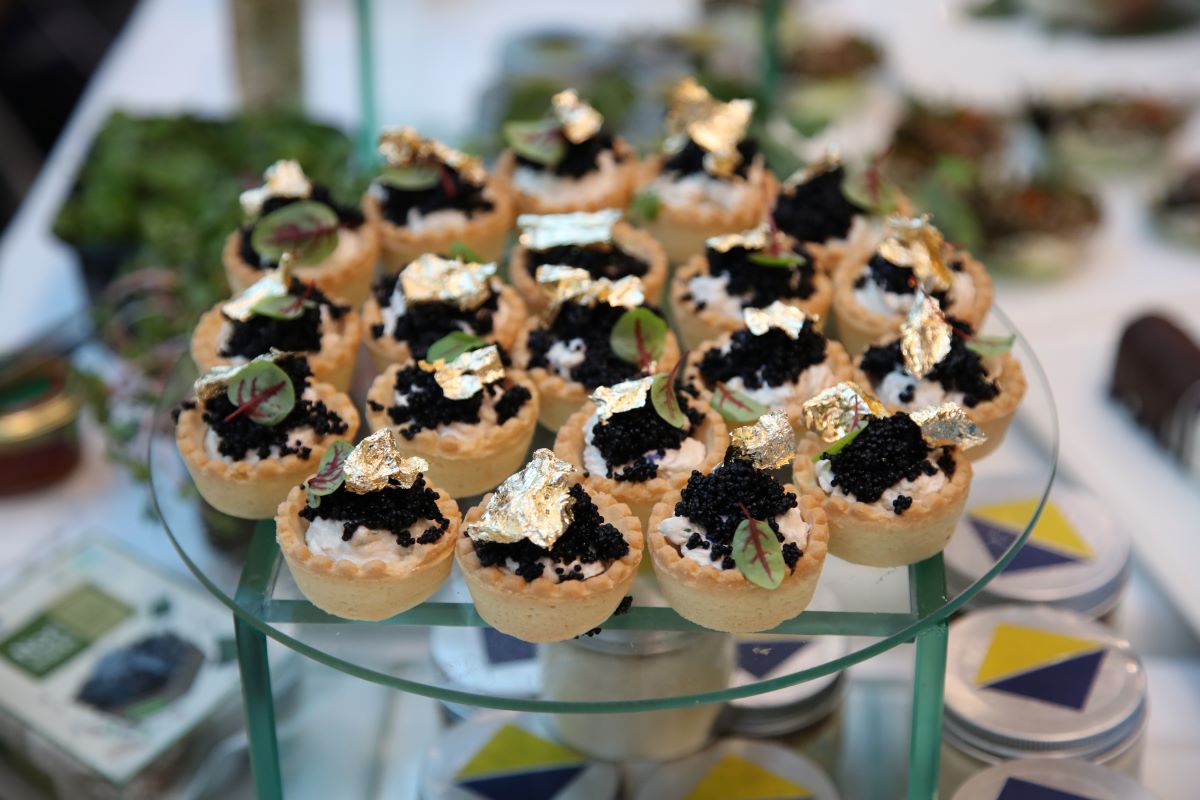 MyRo.Biz IMGL4680 MyRo.Biz IMGL4680