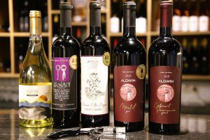 MyRo.Biz IMGL4937 scaled e1772789429269 MyRo.Biz IMGL4937 scaled e1772789429269