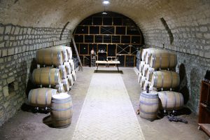 MyRo.Biz crama de piatra 4 MyRo.Biz crama de piatra 4